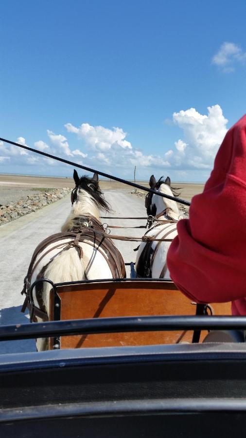 蒙特多尔 Les Chevaux De L'Hippocampe酒店 外观 照片