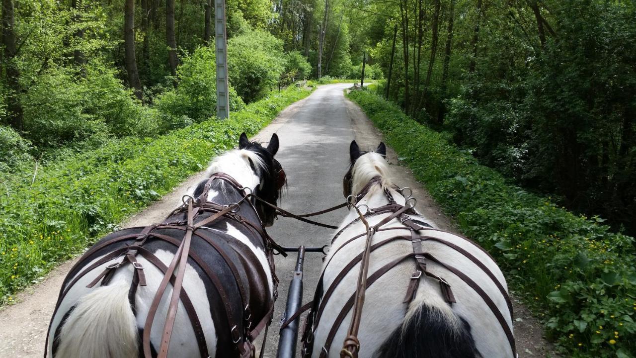 蒙特多尔 Les Chevaux De L'Hippocampe酒店 外观 照片